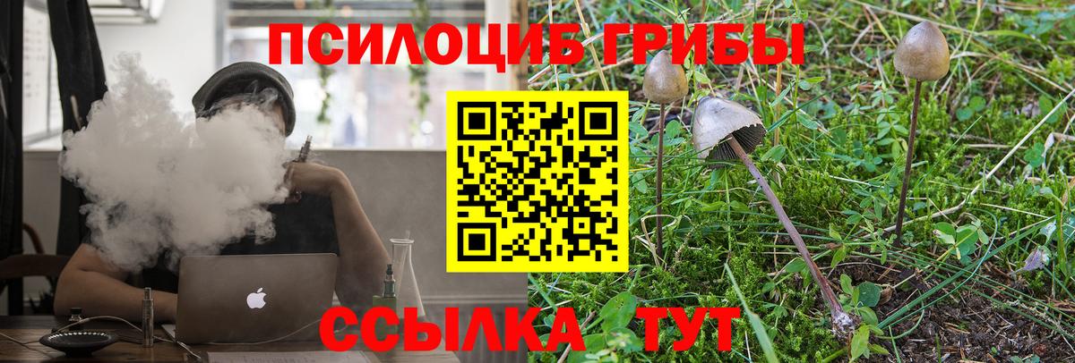 Галлюциногенные грибы Magic Shrooms Магнитогорск