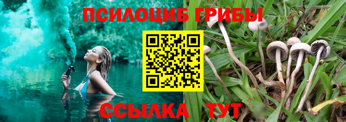 Псилоцибиновые грибы Cubensis  Вход с VPN  цена наркотик  Магнитогорск  Галлюциногенные грибы GOLDEN TEACHER 